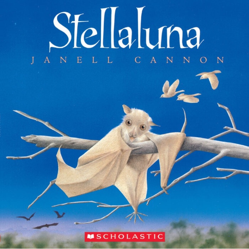 Stella Luna by Janell Cannon Book